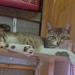 エニちゃん (3).JPG